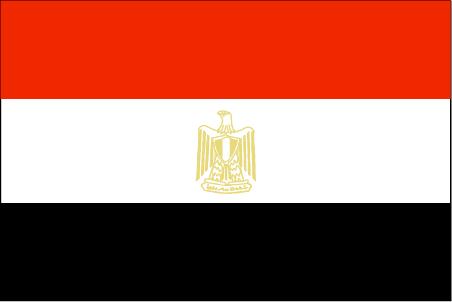 埃及個人旅游簽證